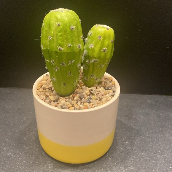 Faux Cactus Planter - Picture 3 of 5